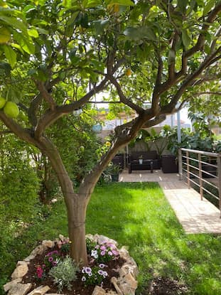Private garden and exterior